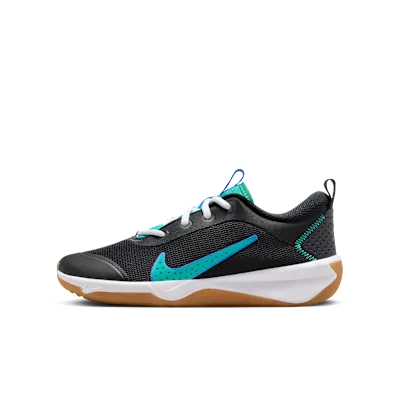 Nike Omni Multi-Court