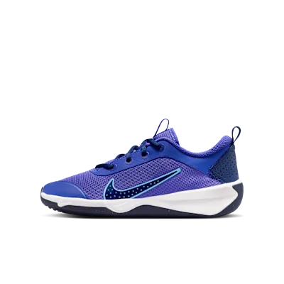 Nike Omni Multi-Court