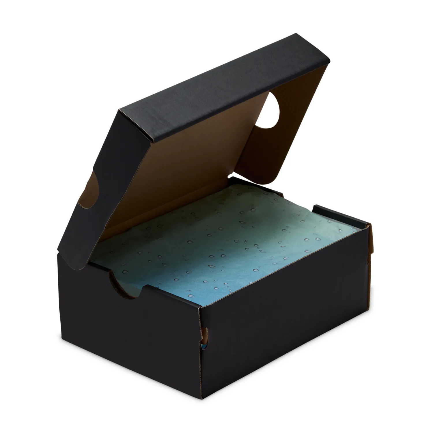 Jordan OTDR image 2