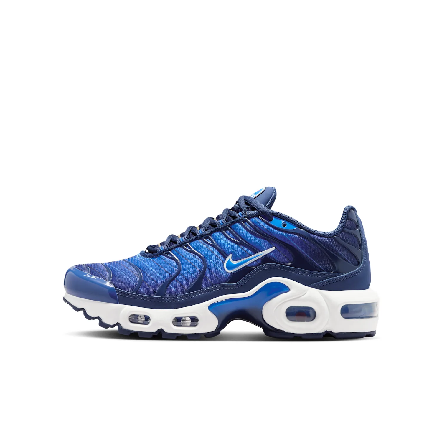 Nike Air Max Plus SE