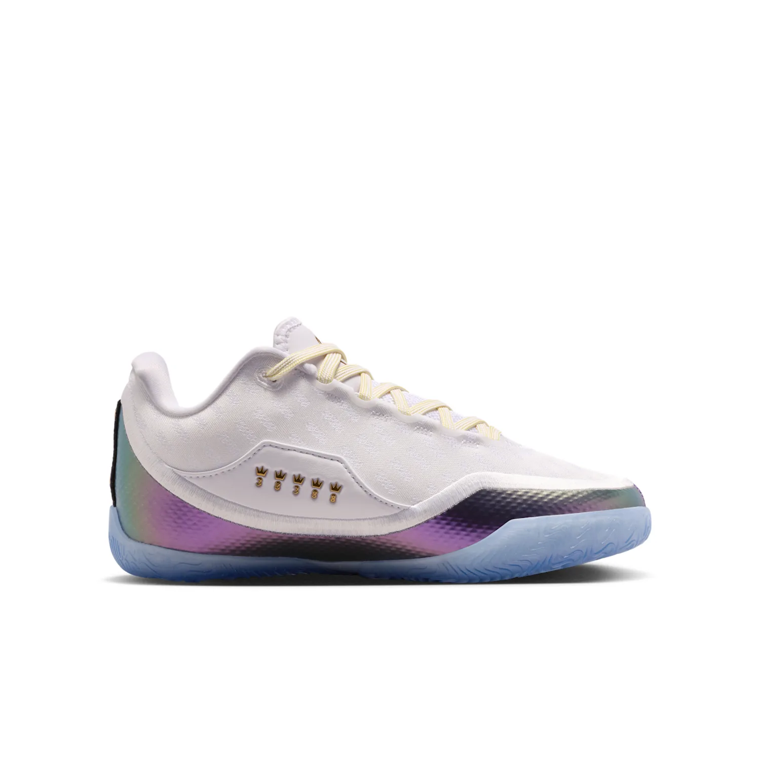 LeBron XXIII "For The Record" image 4