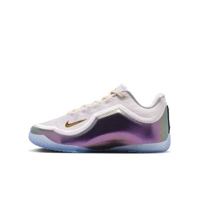 LeBron XXIII "For The Record"