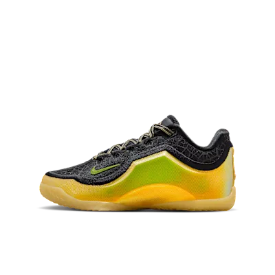 LeBron XXIII "Hurt Feelings"