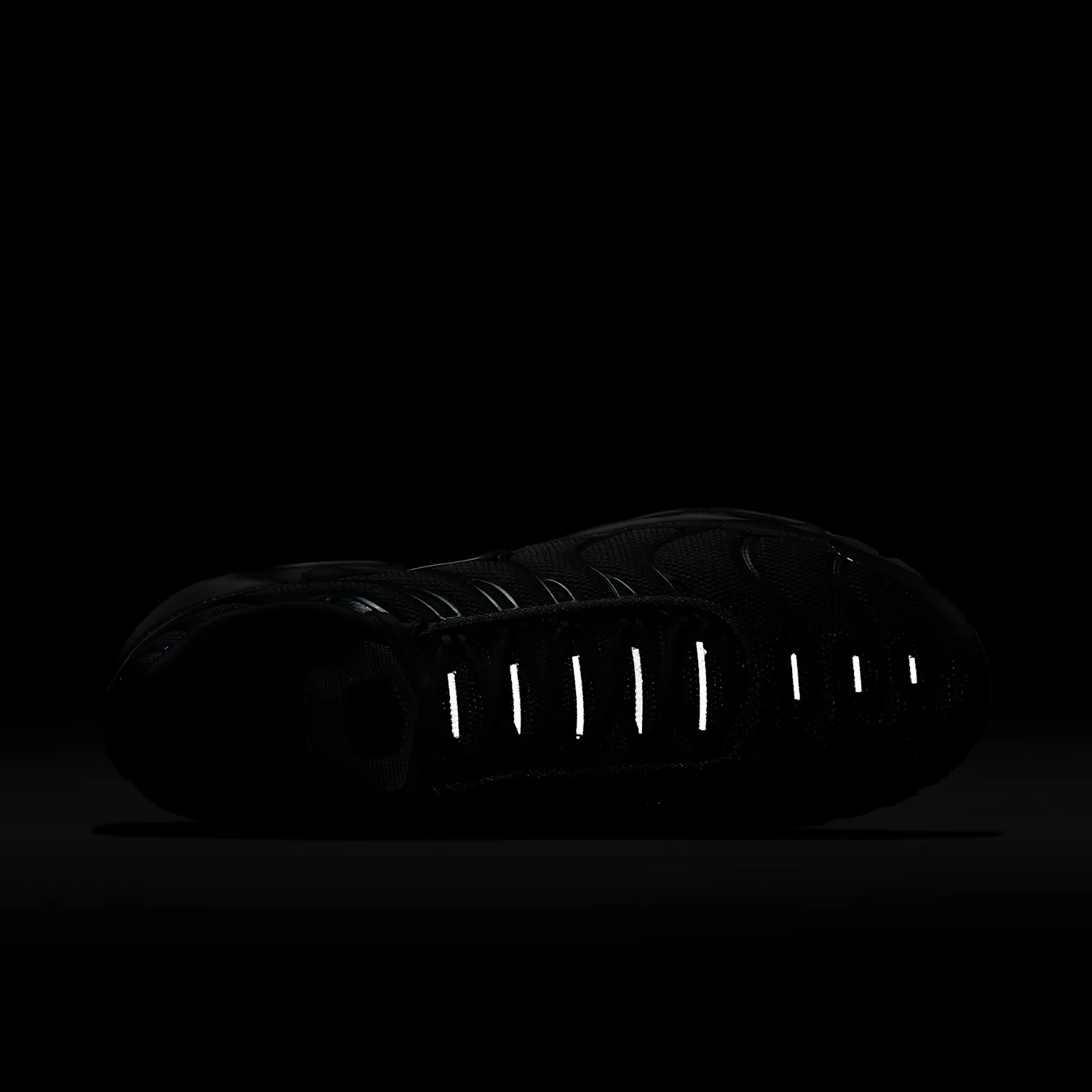 Nike Air Max Plus image 2