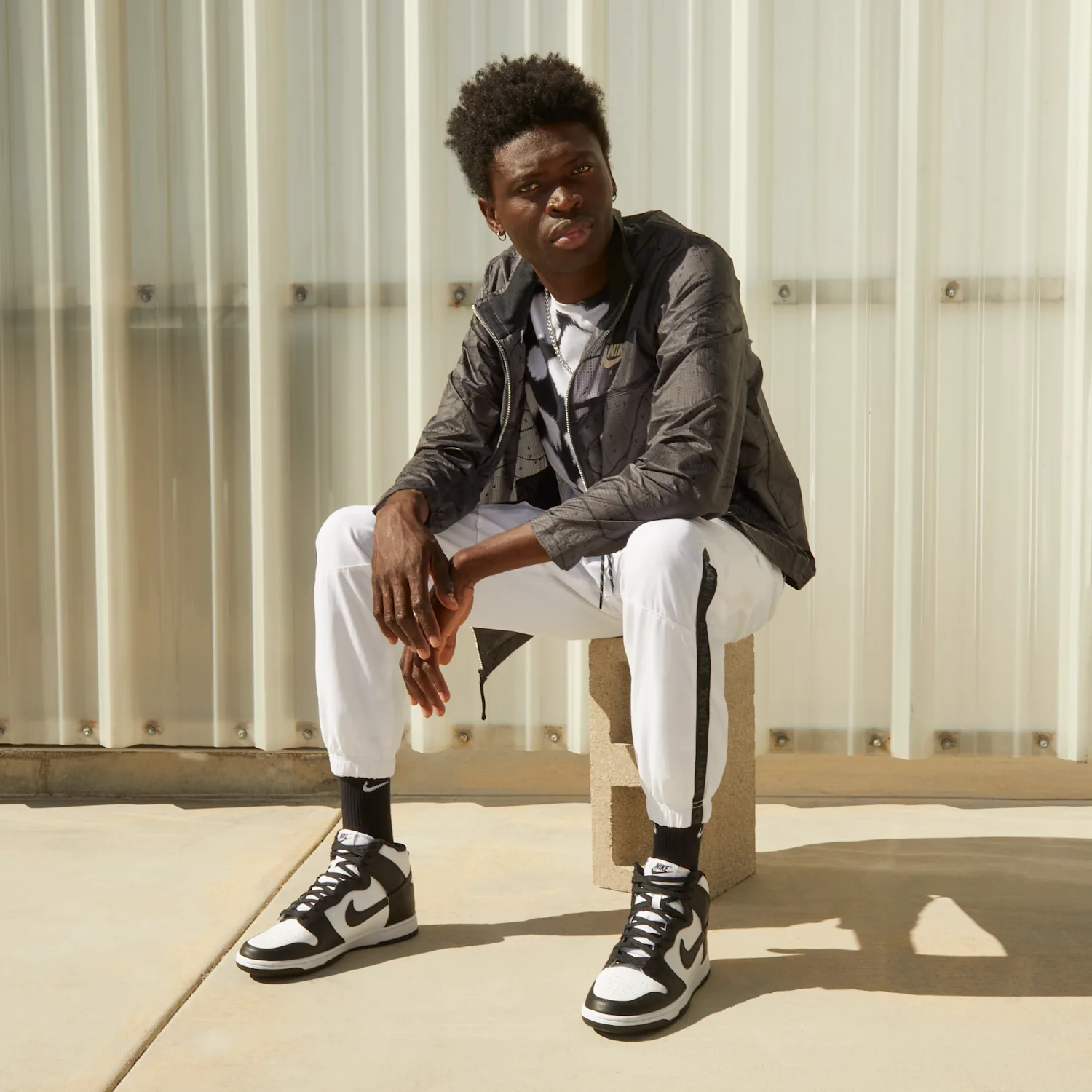 Nike Dunk High Retro image 2