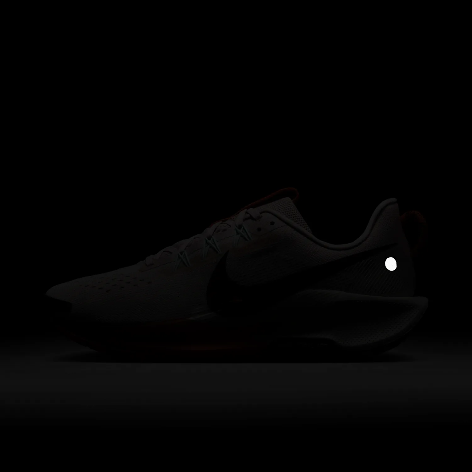 Nike Pegasus Trail 5 image 2