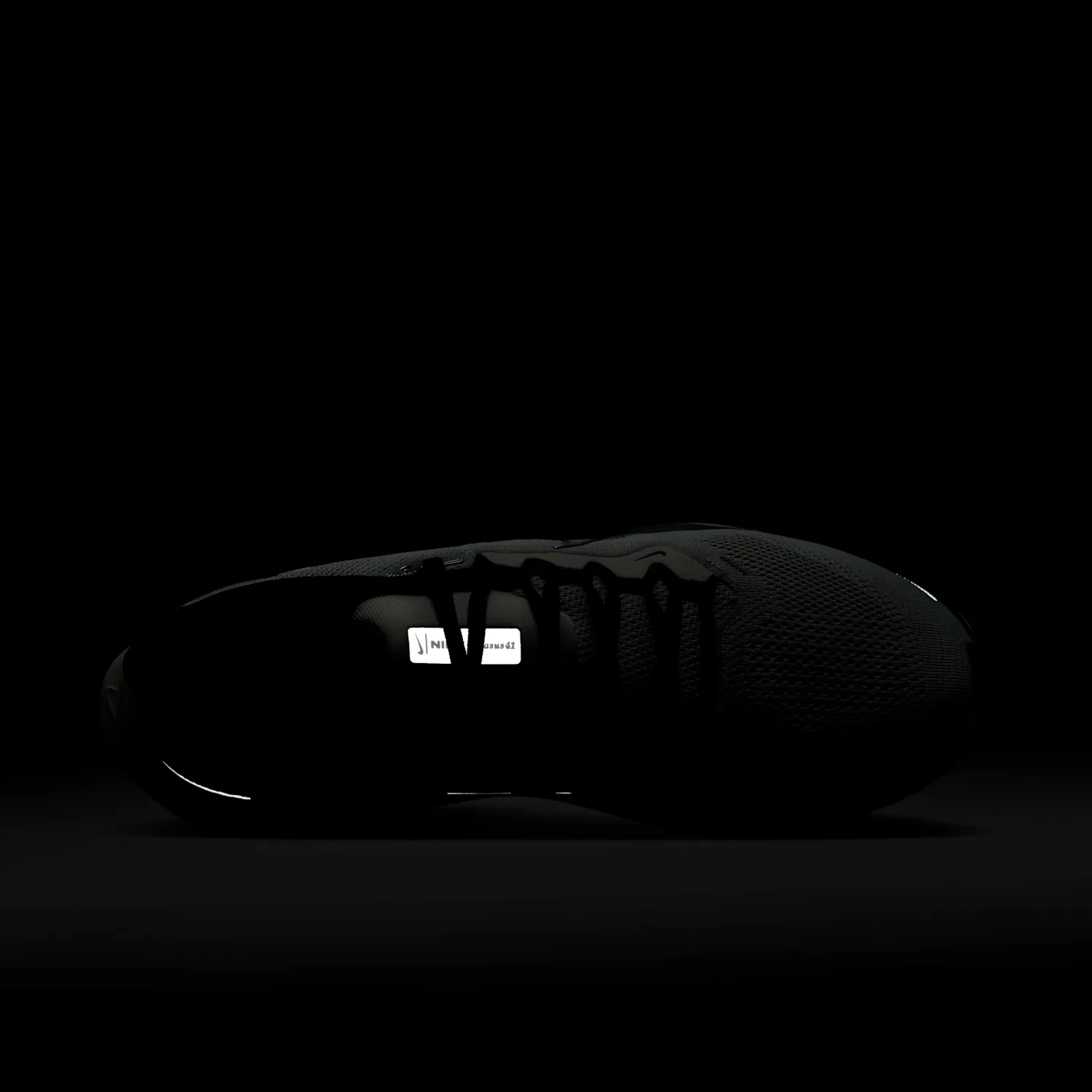 Nike Pegasus 41 image 13