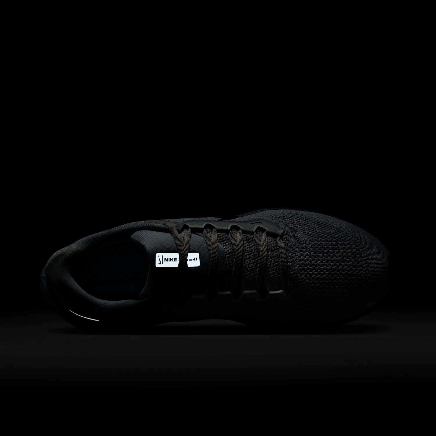 Nike Pegasus 41 image 12