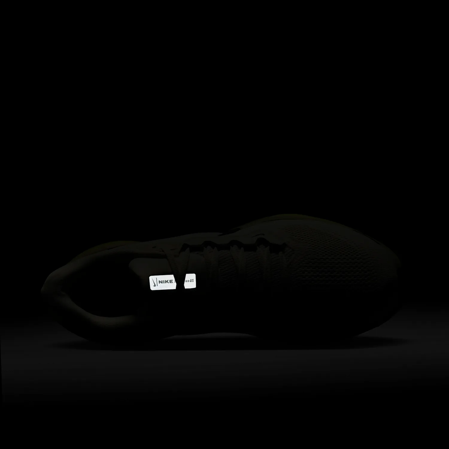 Nike Pegasus 41 image 11