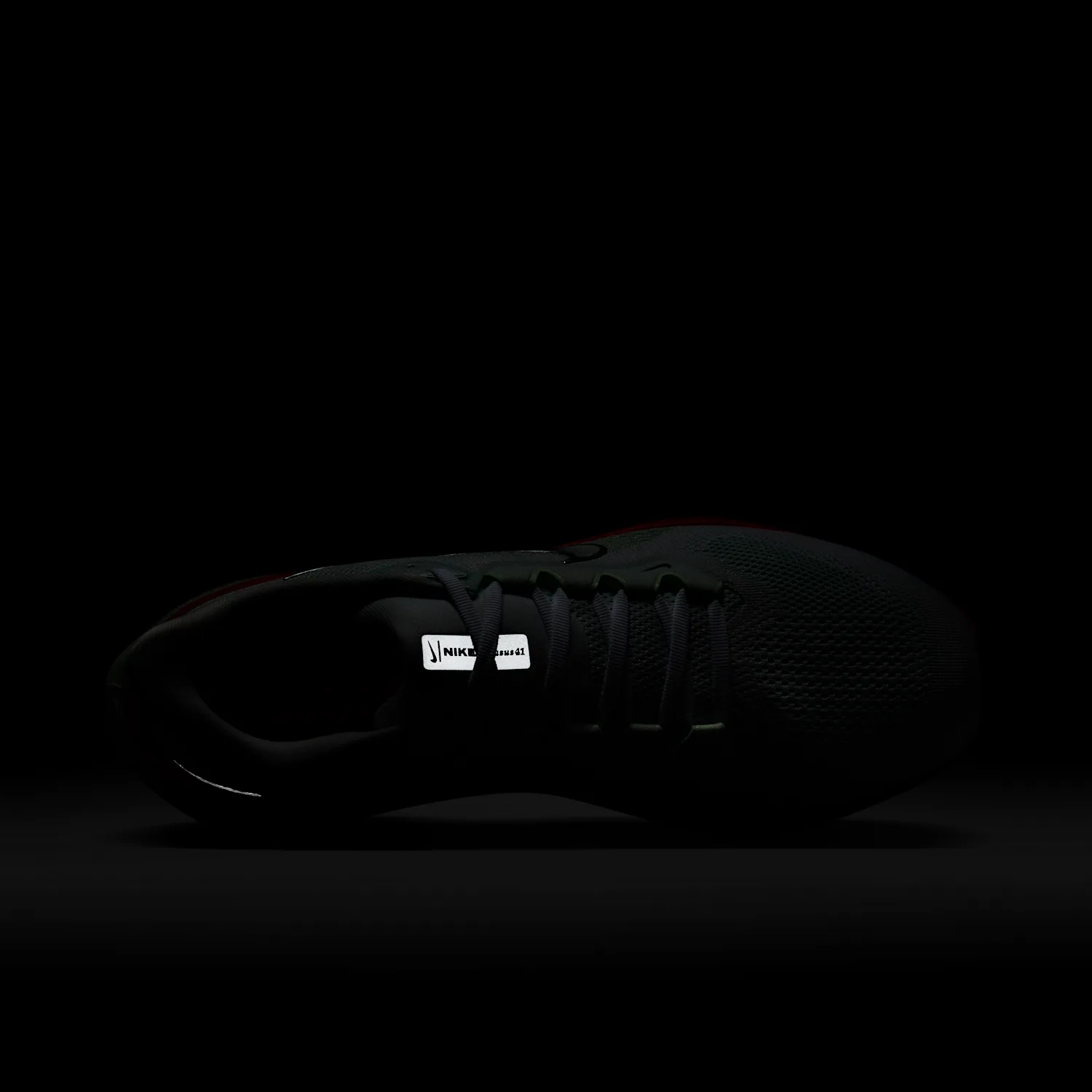 Nike Pegasus 41 image 12