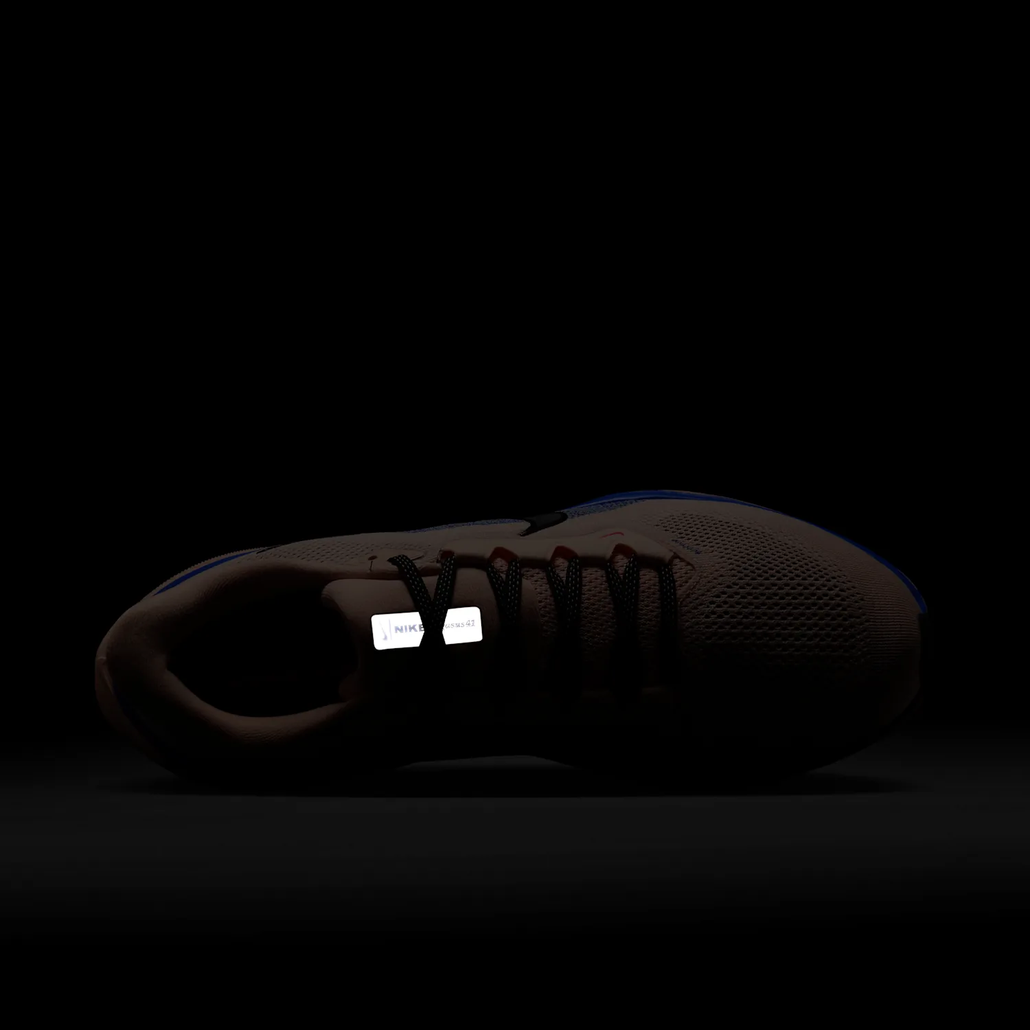Nike Pegasus 41 image 12
