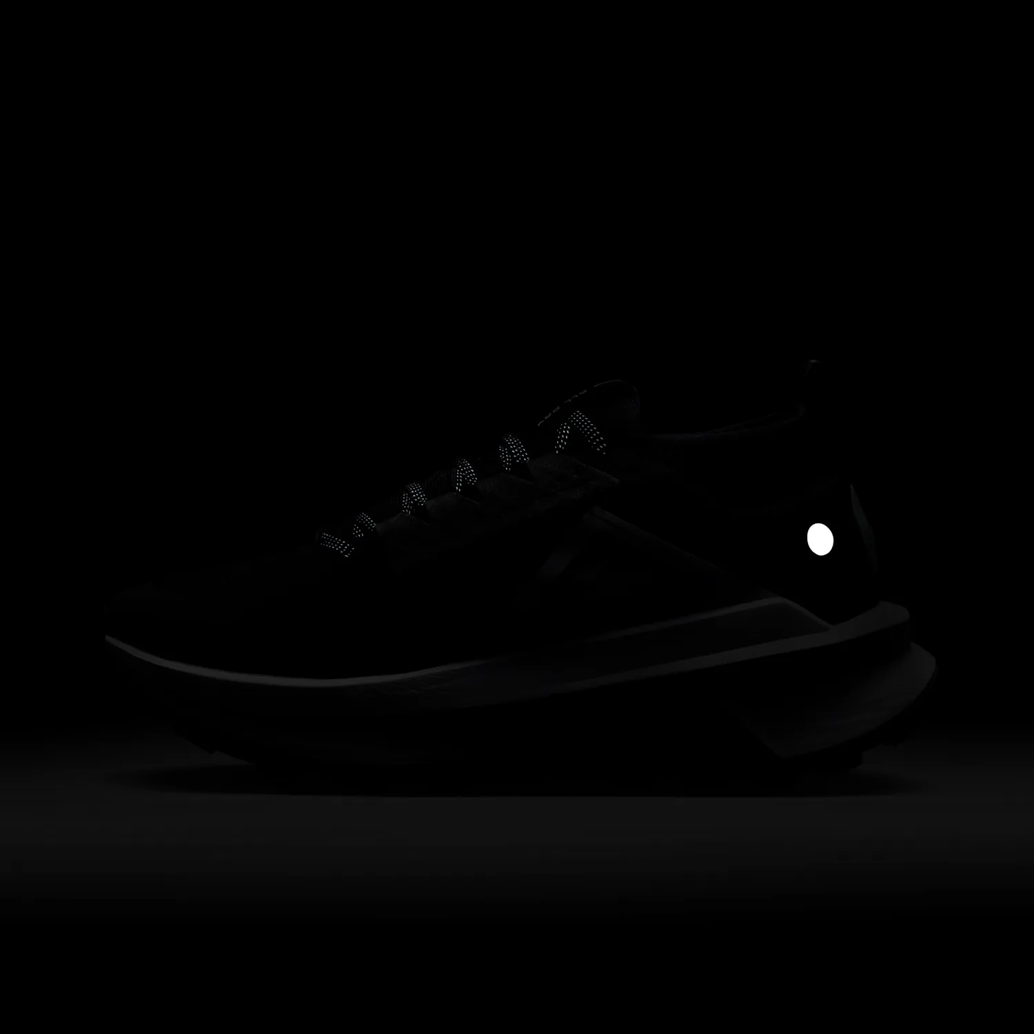 Nike Zegama 2 image 4