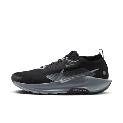 Nike Pegasus Trail 5 GORE-TEX