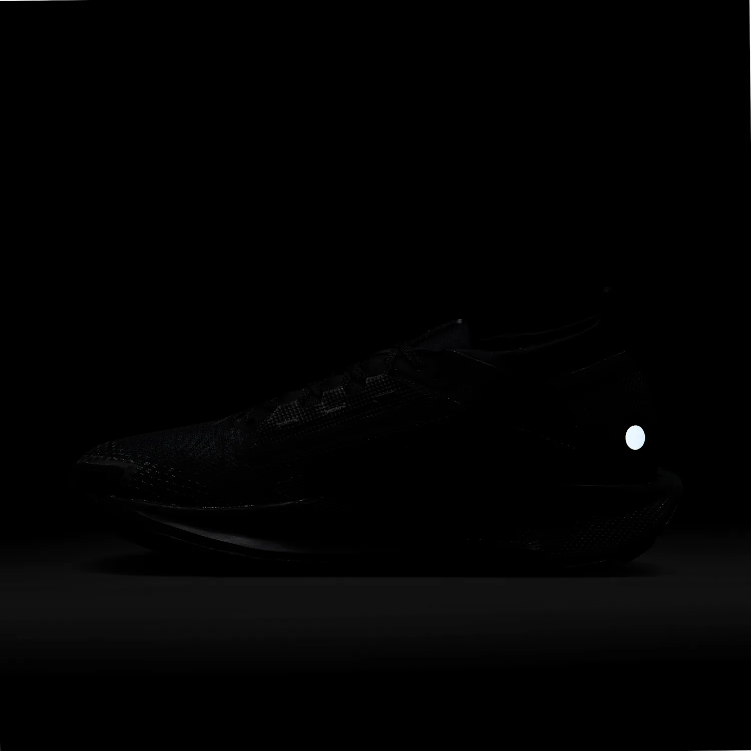 Nike Pegasus Trail 5 GORE-TEX image 2