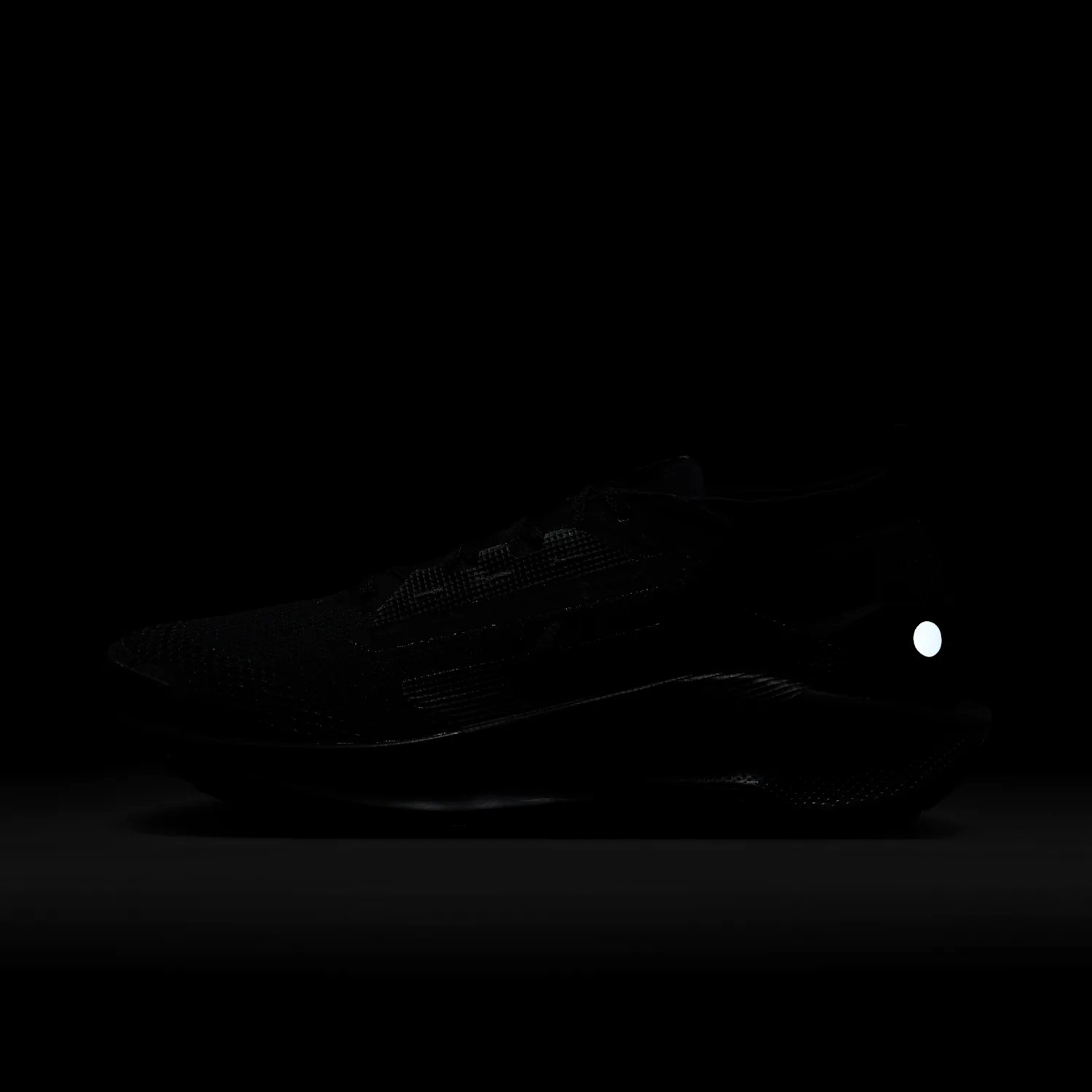 Nike Pegasus Trail 5 GORE-TEX image 11