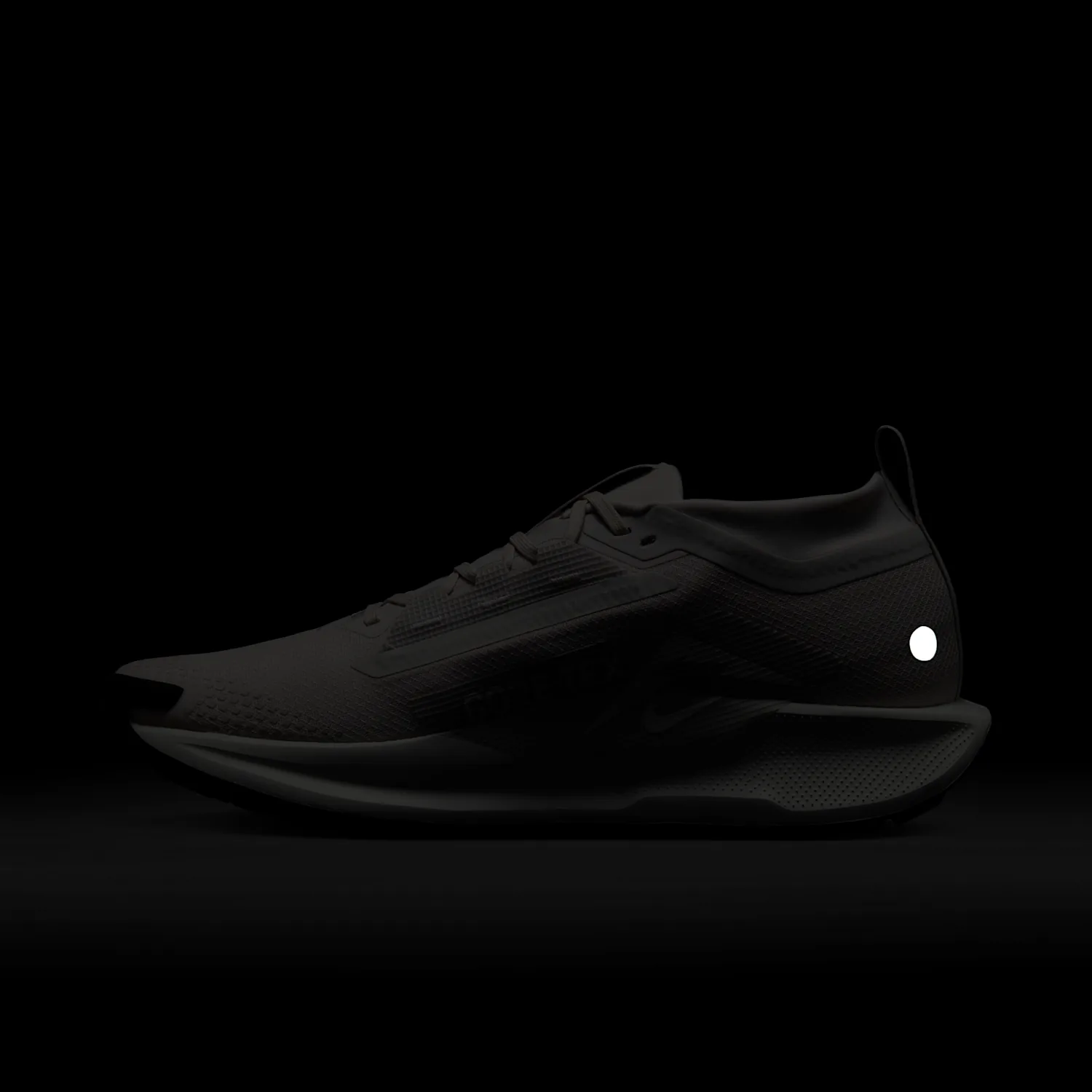 Nike Pegasus Trail 5 GORE-TEX image 3