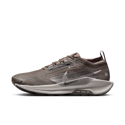 Nike Pegasus Trail 5 GORE-TEX
