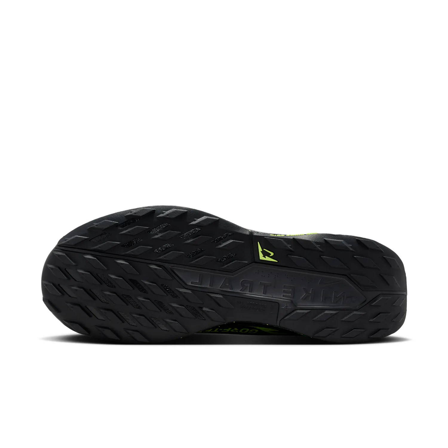 Nike Pegasus Trail 5 GORE-TEX image 2