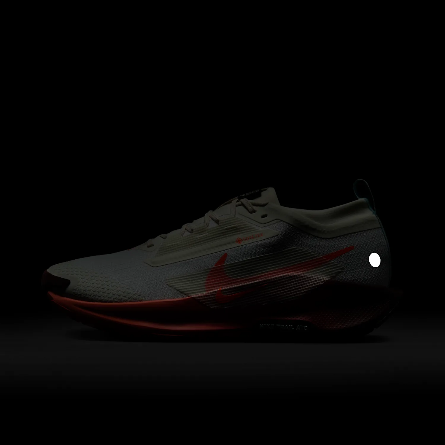 Nike Pegasus Trail 5 GORE-TEX image 2