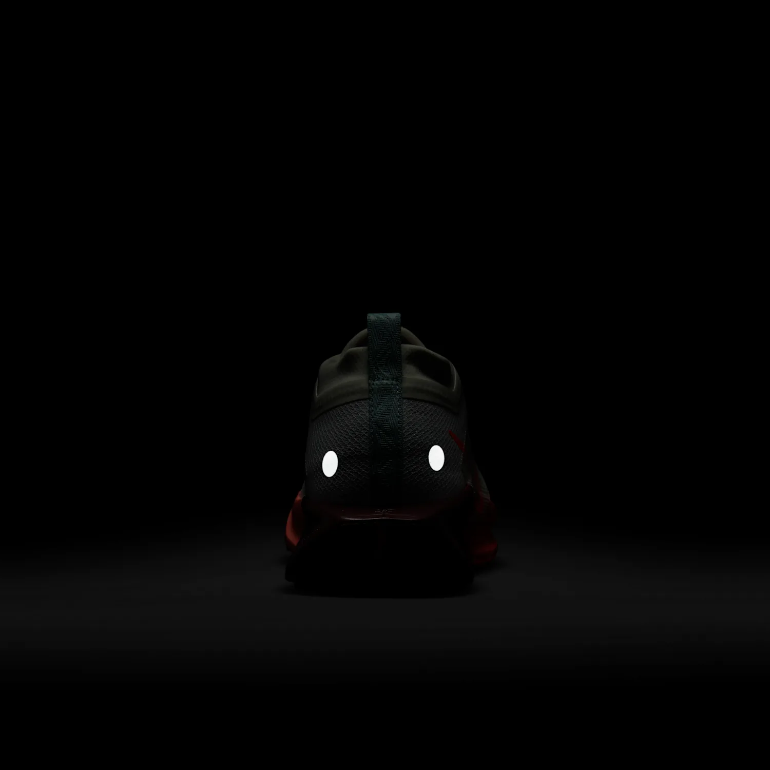 Nike Pegasus Trail 5 GORE-TEX image 12