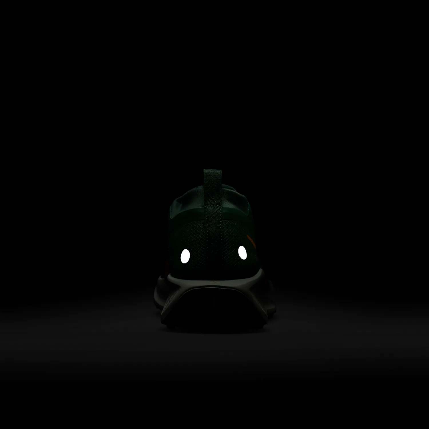 Nike Pegasus Trail 5 GORE-TEX image 2