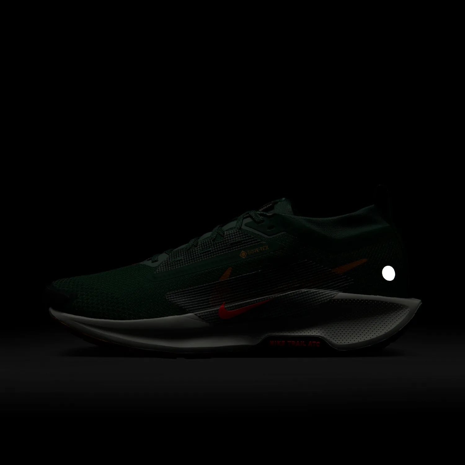 Nike Pegasus Trail 5 GORE-TEX image 3