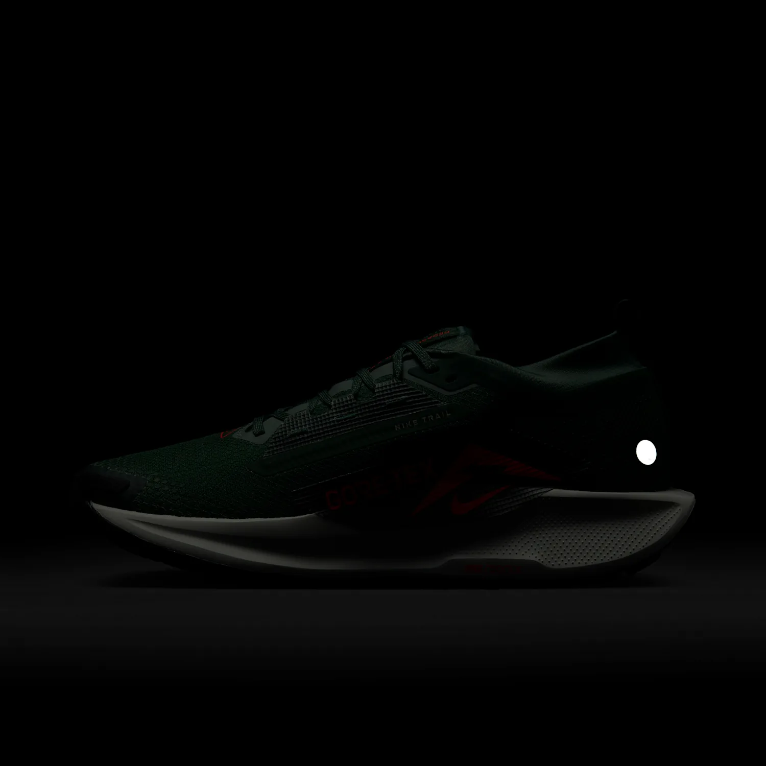 Nike Pegasus Trail 5 GORE-TEX image 4