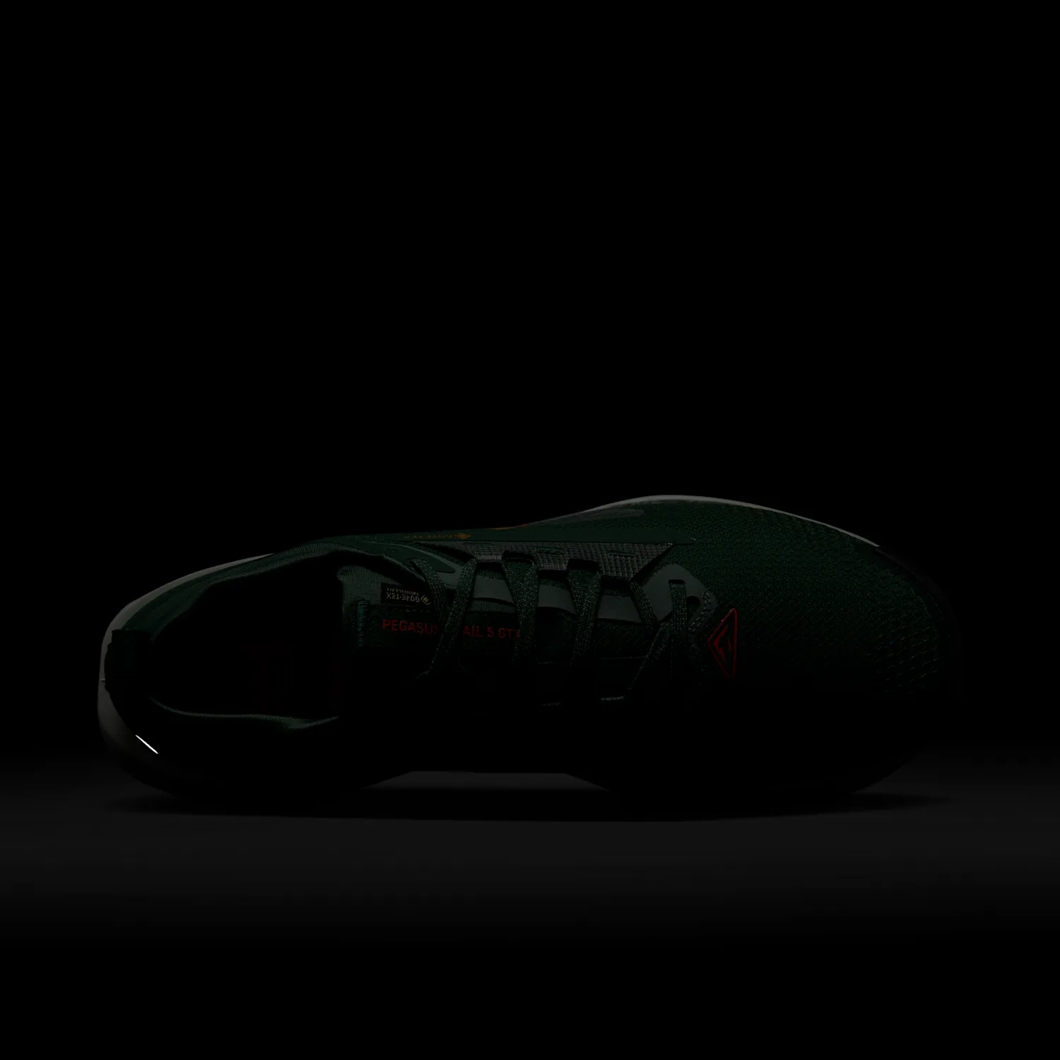 Nike Pegasus Trail 5 GORE-TEX image 13