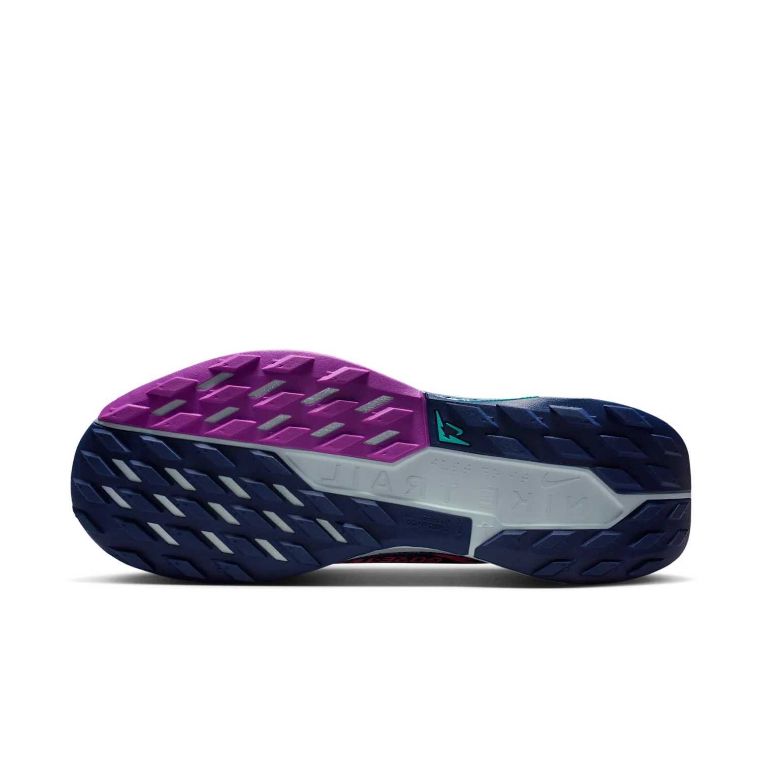 Nike Pegasus Trail 5 GORE-TEX image 2