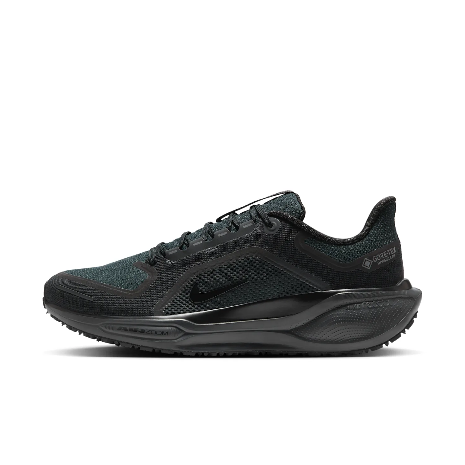 Nike Pegasus 41 GORE-TEX