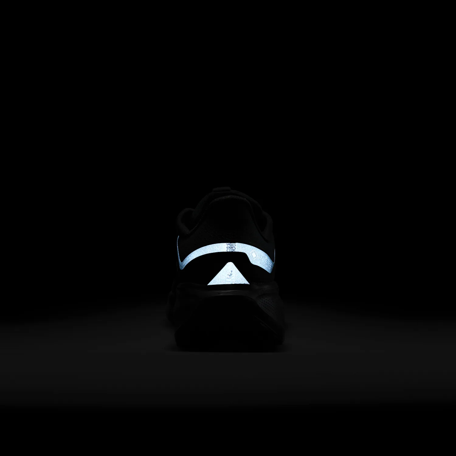 Nike Pegasus 41 GORE-TEX image 2