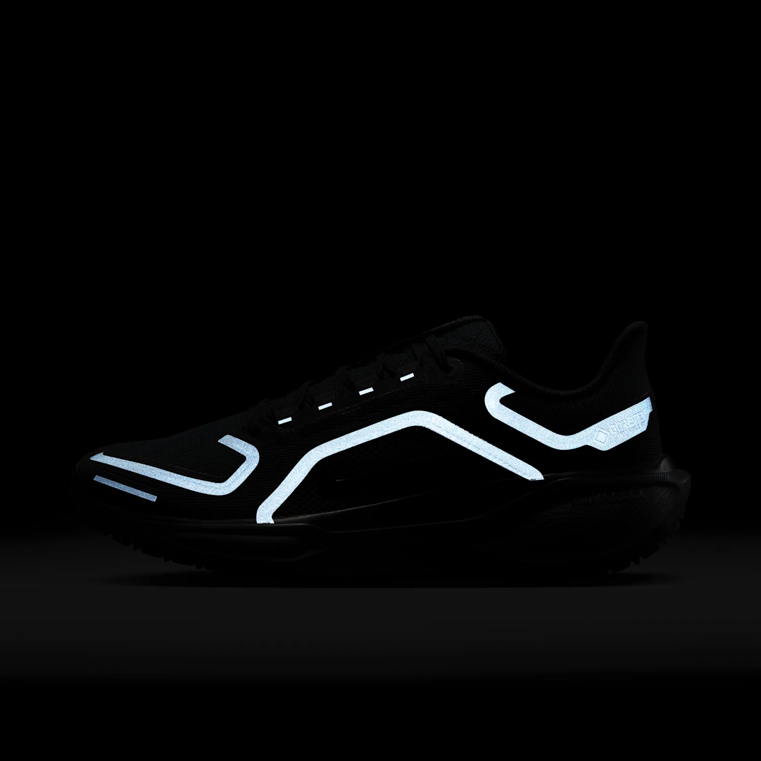 Nike Pegasus 41 GORE-TEX image 3