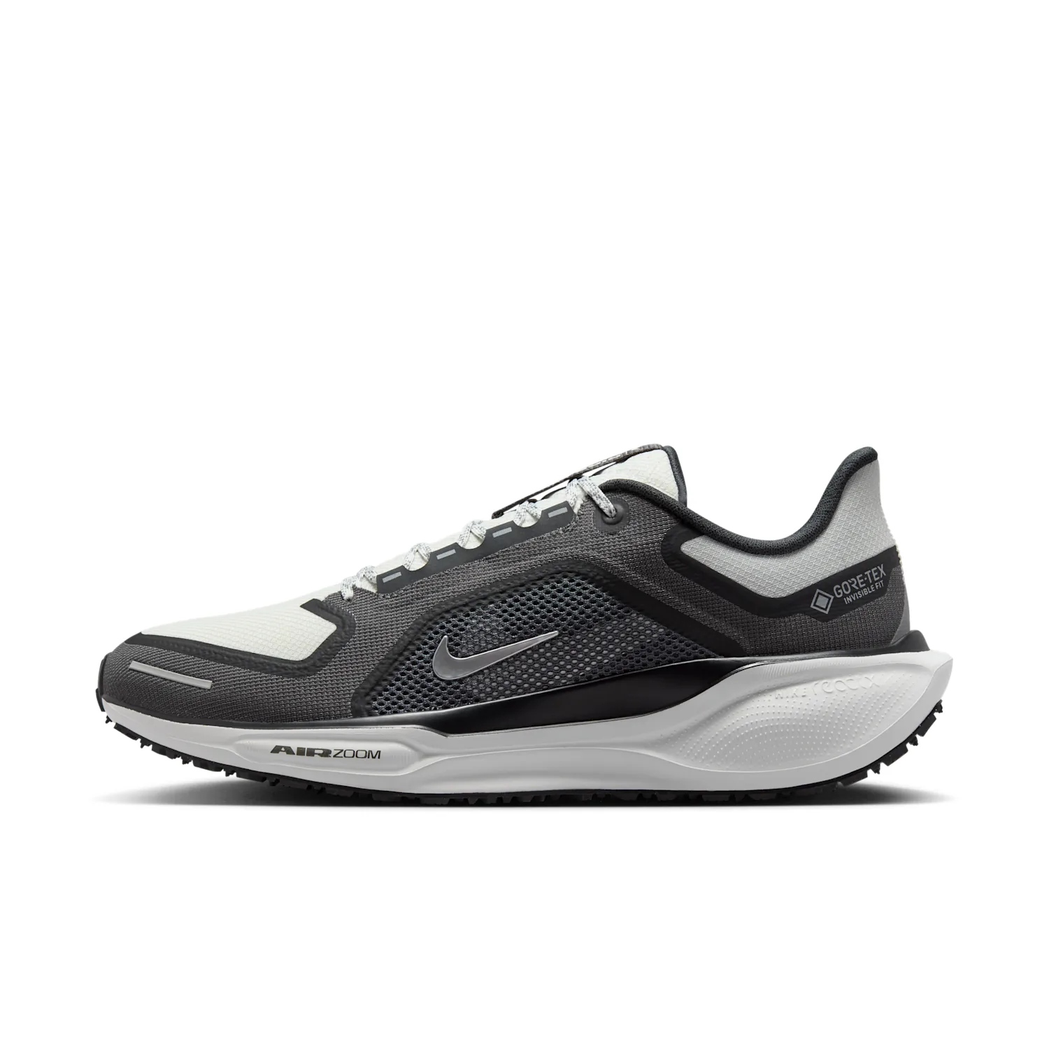 Nike Pegasus 41 GORE-TEX
