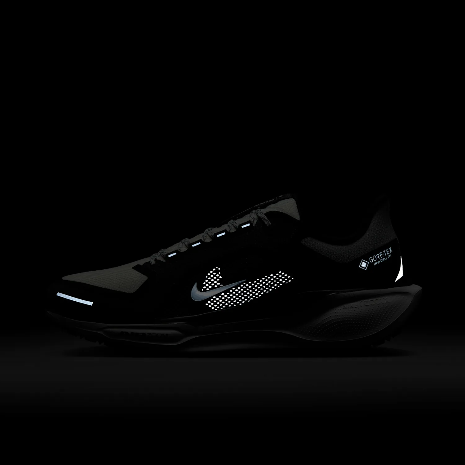 Nike Pegasus 41 GORE-TEX image 3