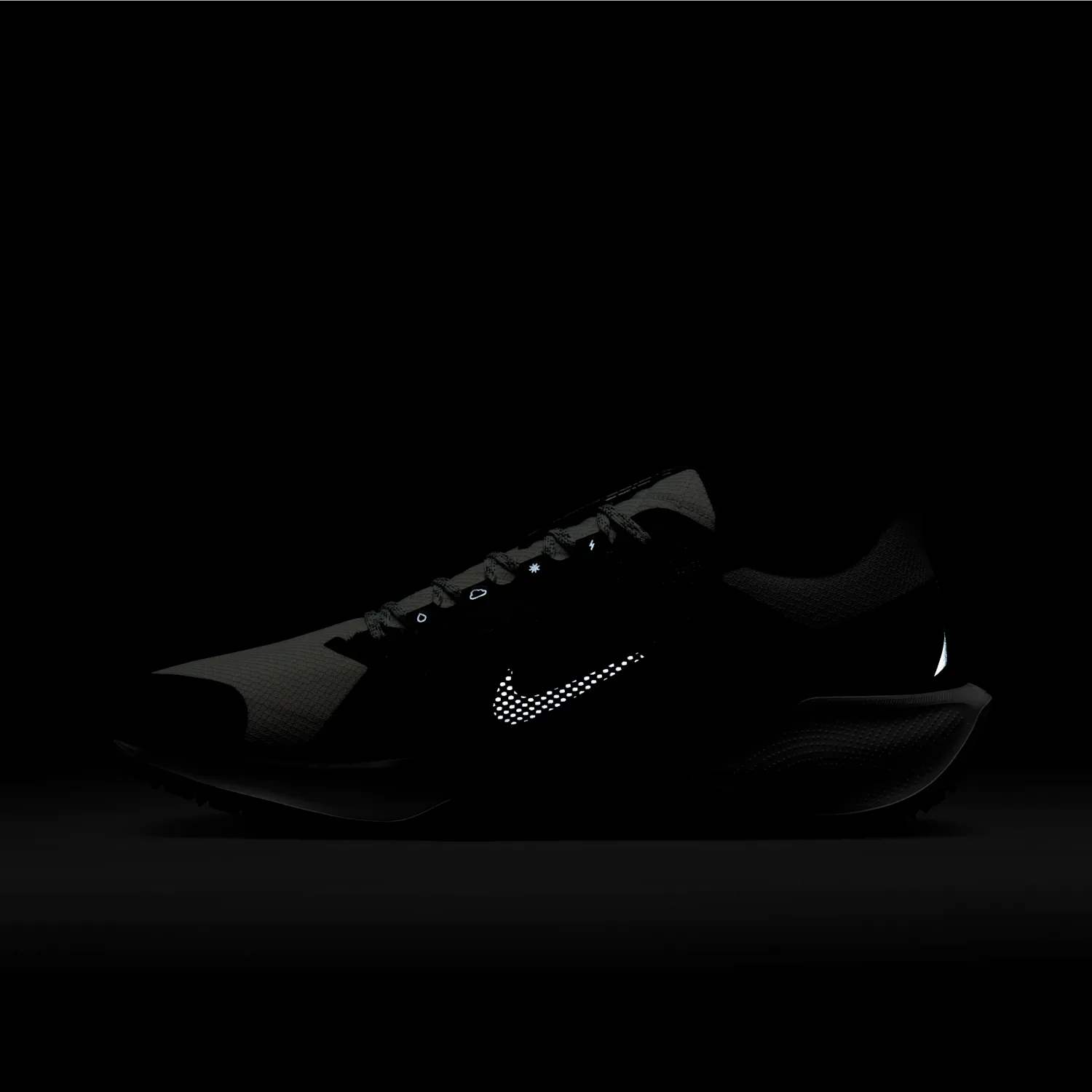 Nike Pegasus 41 GORE-TEX image 4