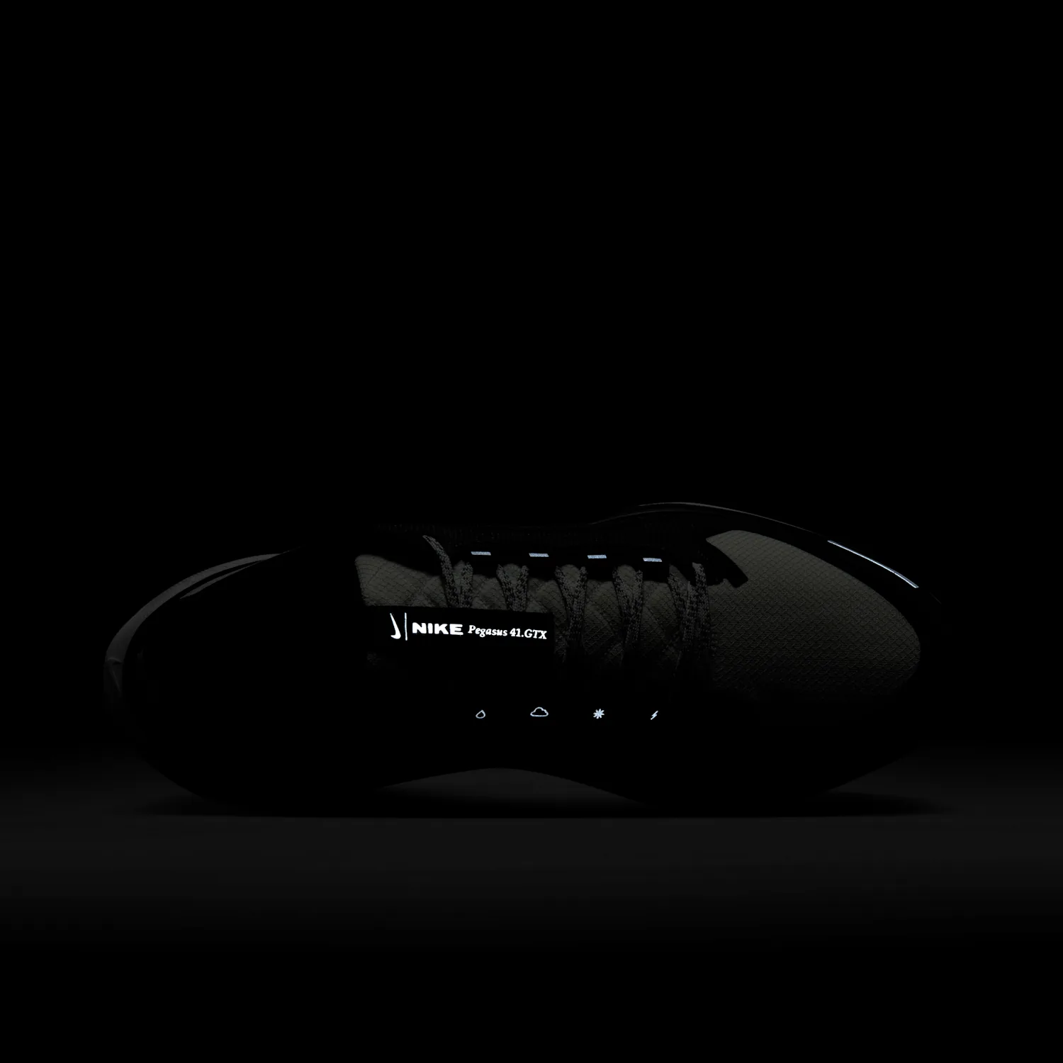 Nike Pegasus 41 GORE-TEX image 13