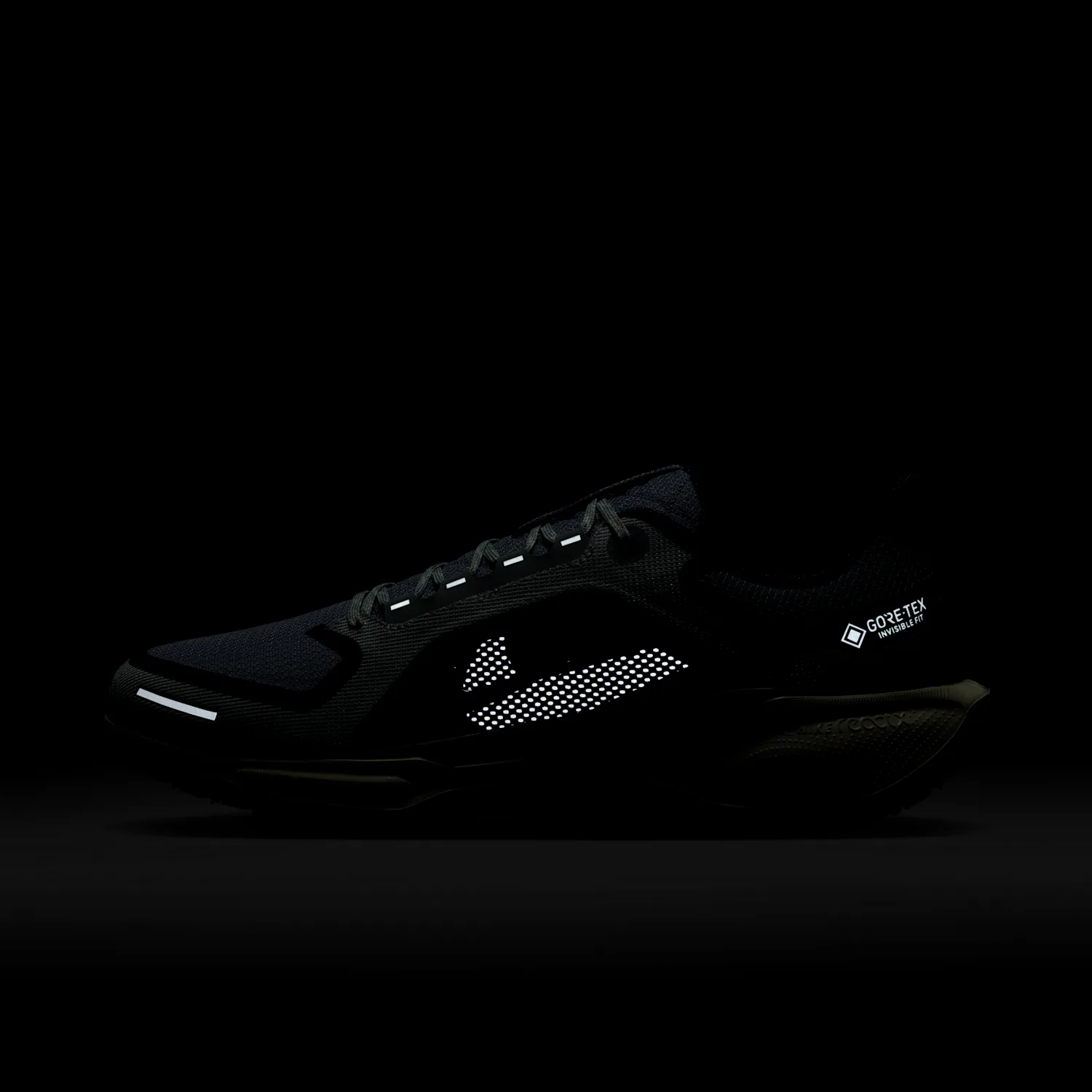 Nike Pegasus 41 GORE-TEX image 3