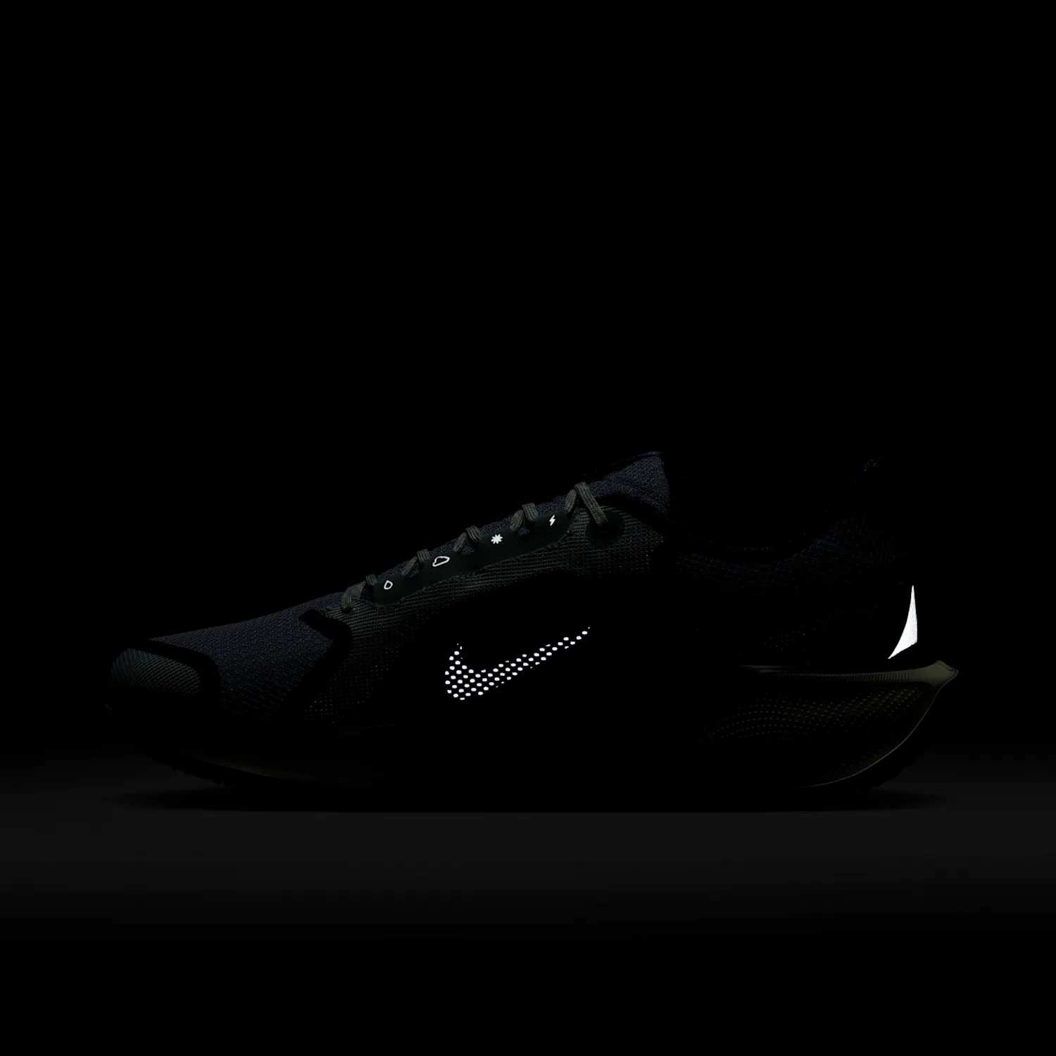Nike Pegasus 41 GORE-TEX image 4