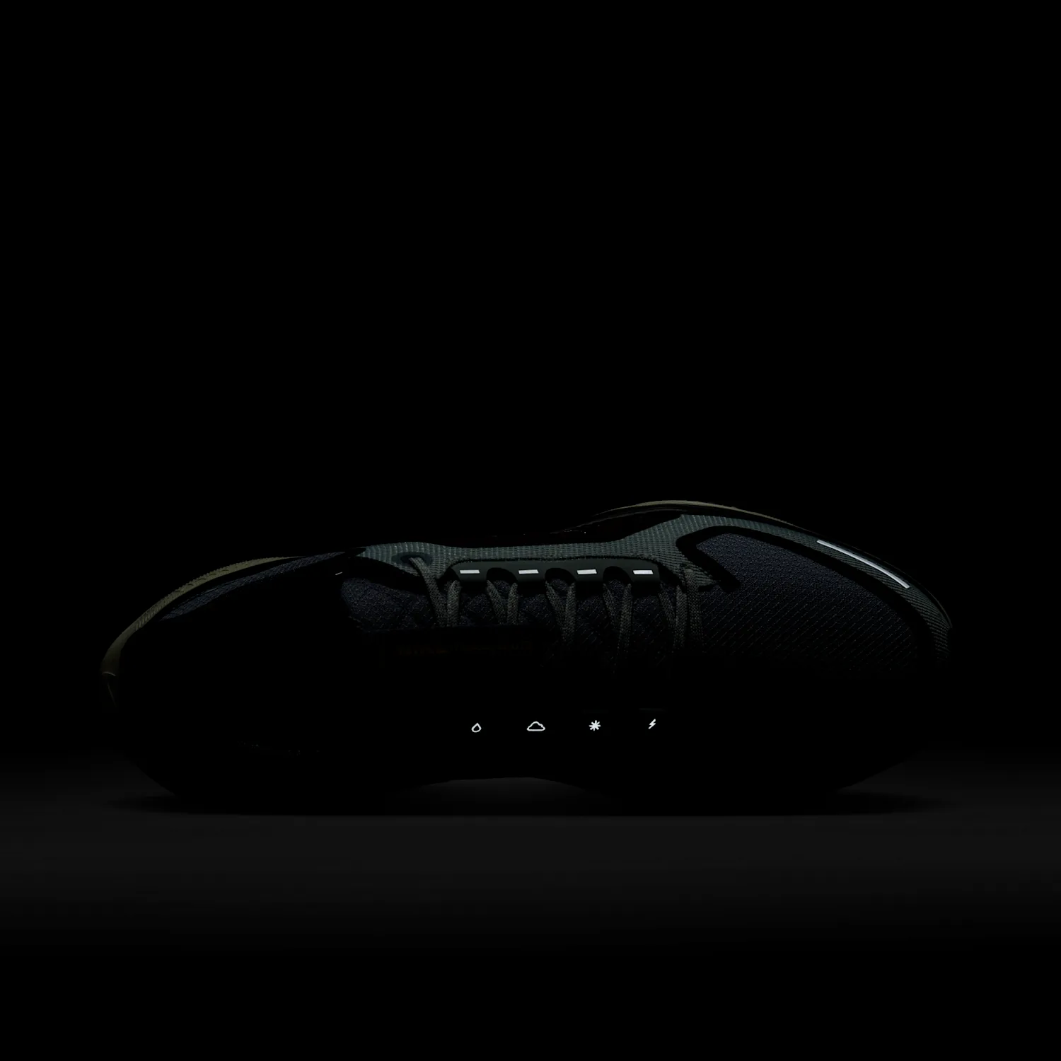 Nike Pegasus 41 GORE-TEX image 13