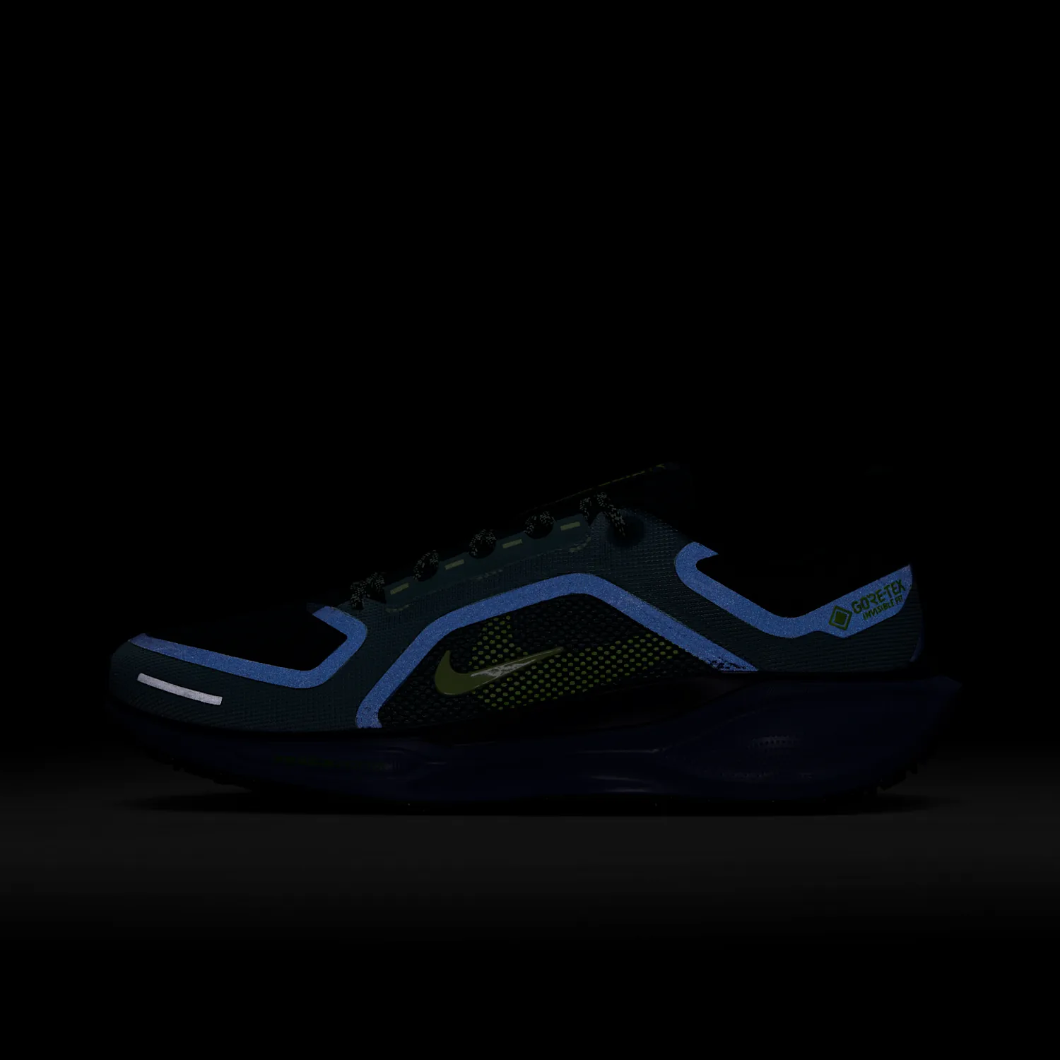 Nike Pegasus 41 GORE-TEX image 10