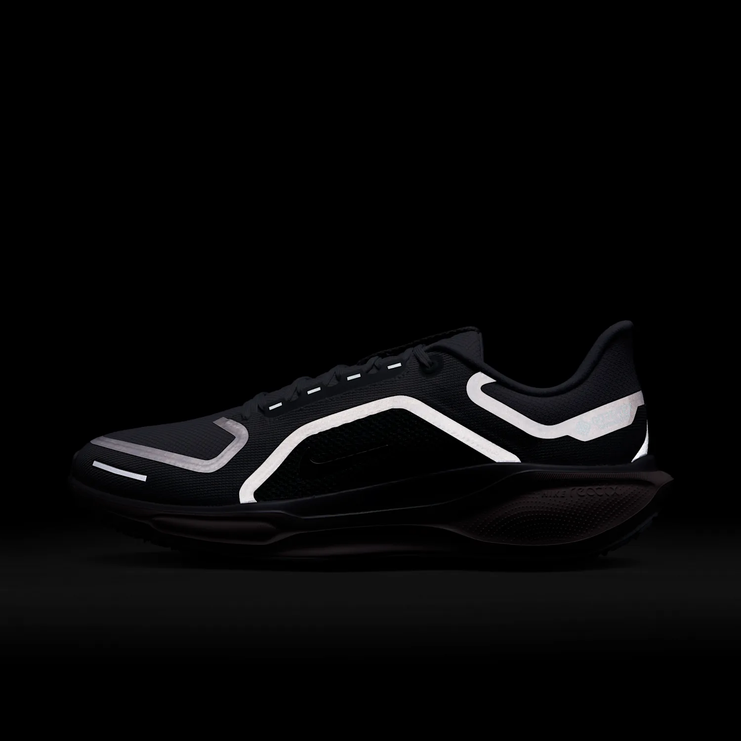 Nike Pegasus 41 GORE-TEX image 10