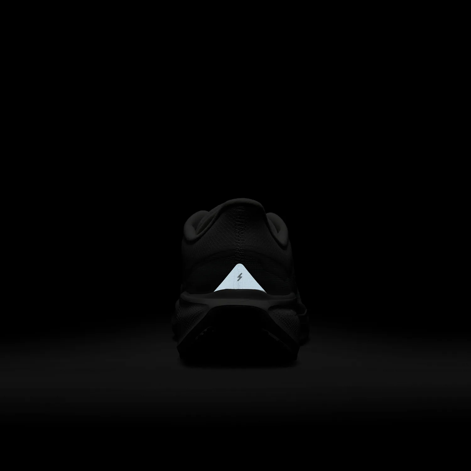 Nike Pegasus 41 GORE-TEX image 2