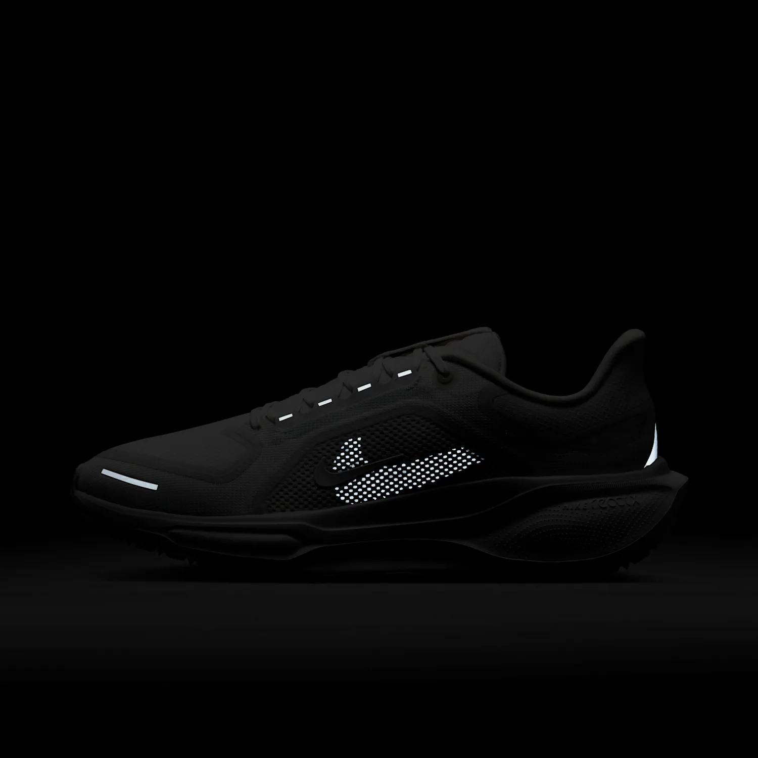 Nike Pegasus 41 GORE-TEX image 3