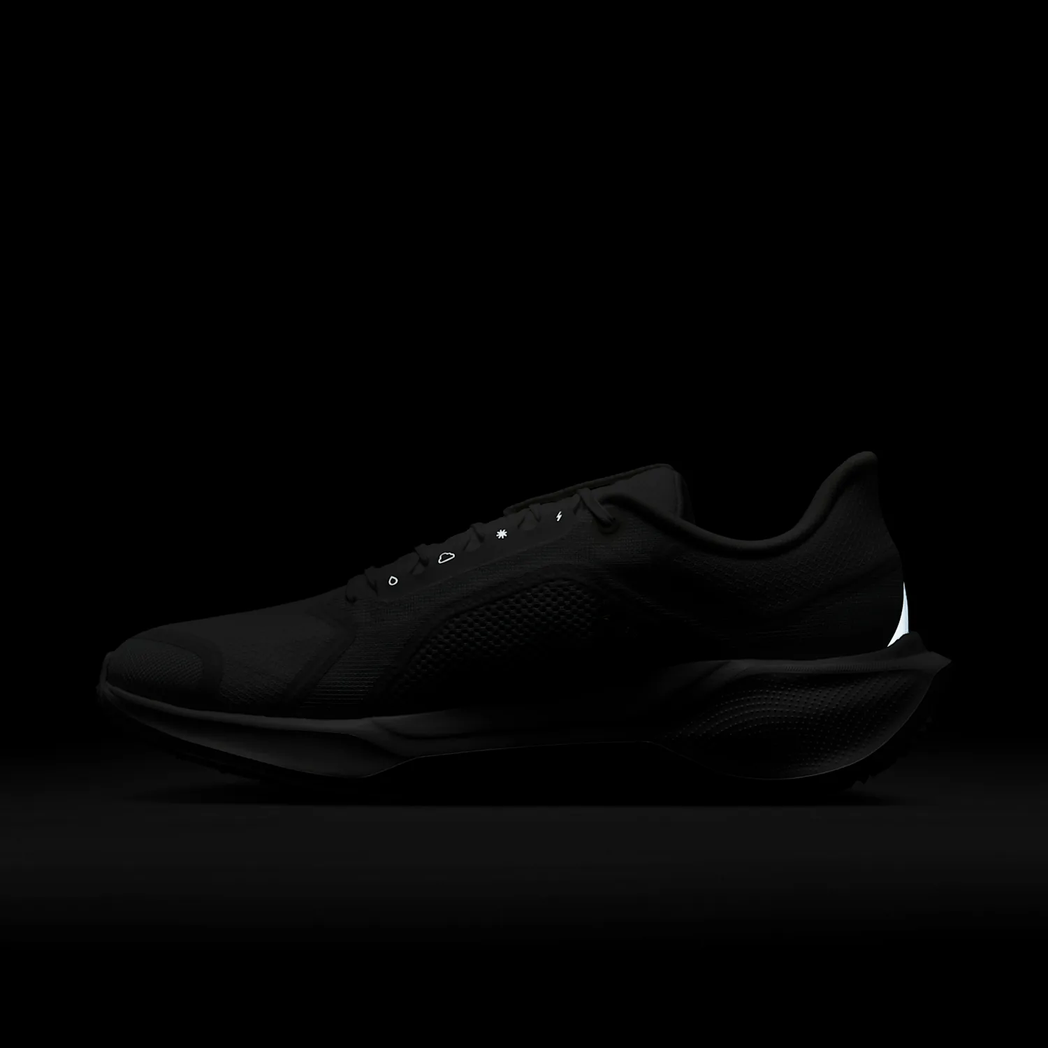 Nike Pegasus 41 GORE-TEX image 4