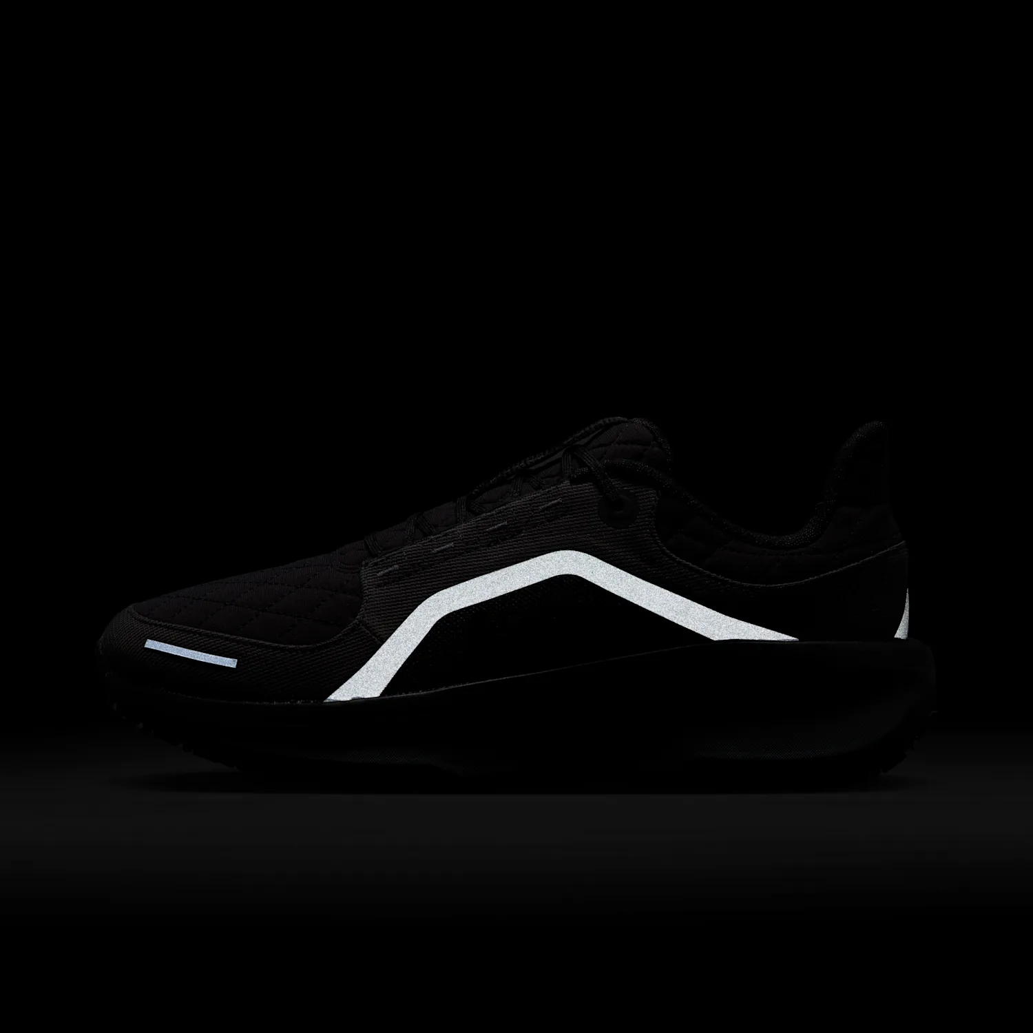 Nike Winflo 11 GORE-TEX image 2