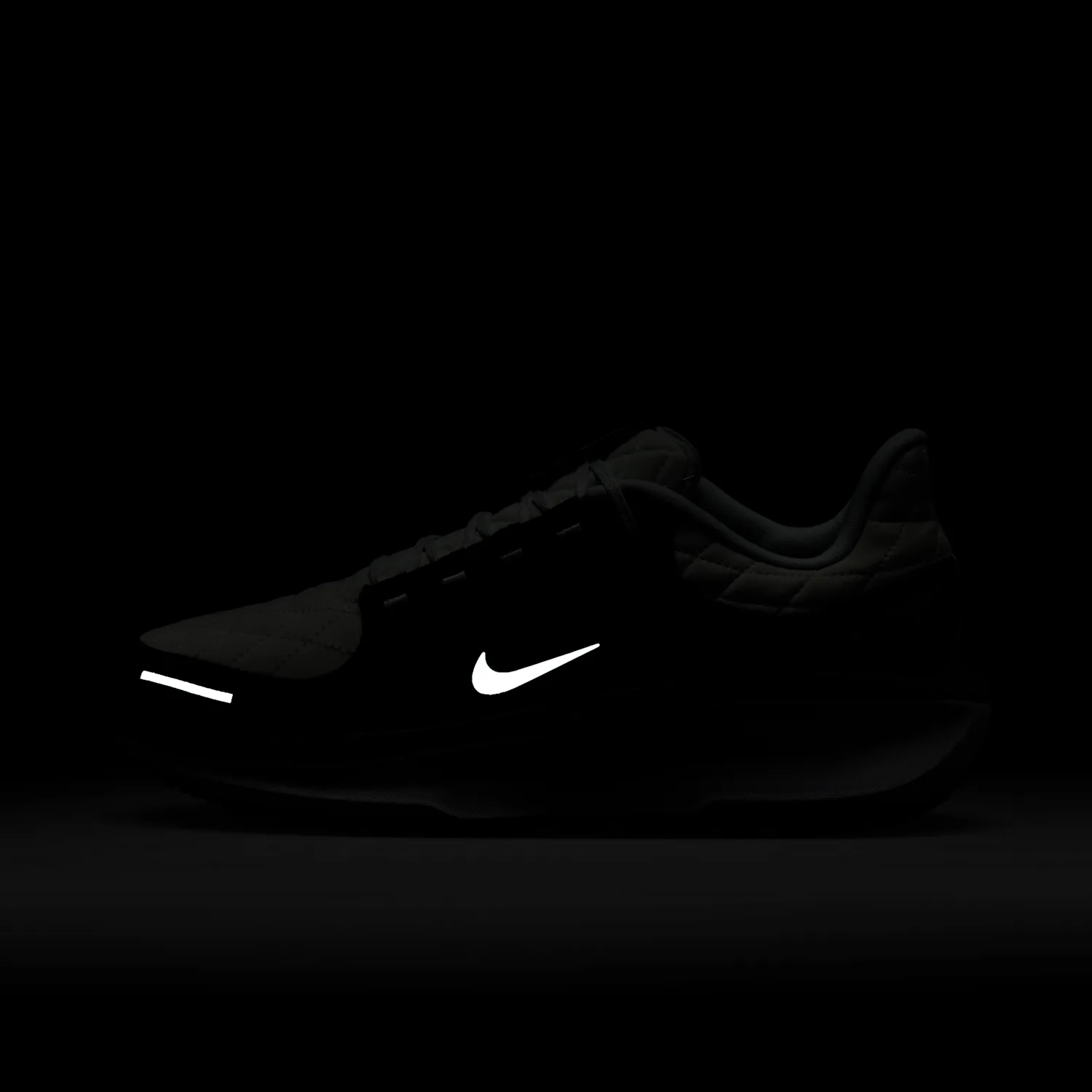 Nike Winflo 11 GORE-TEX image 2
