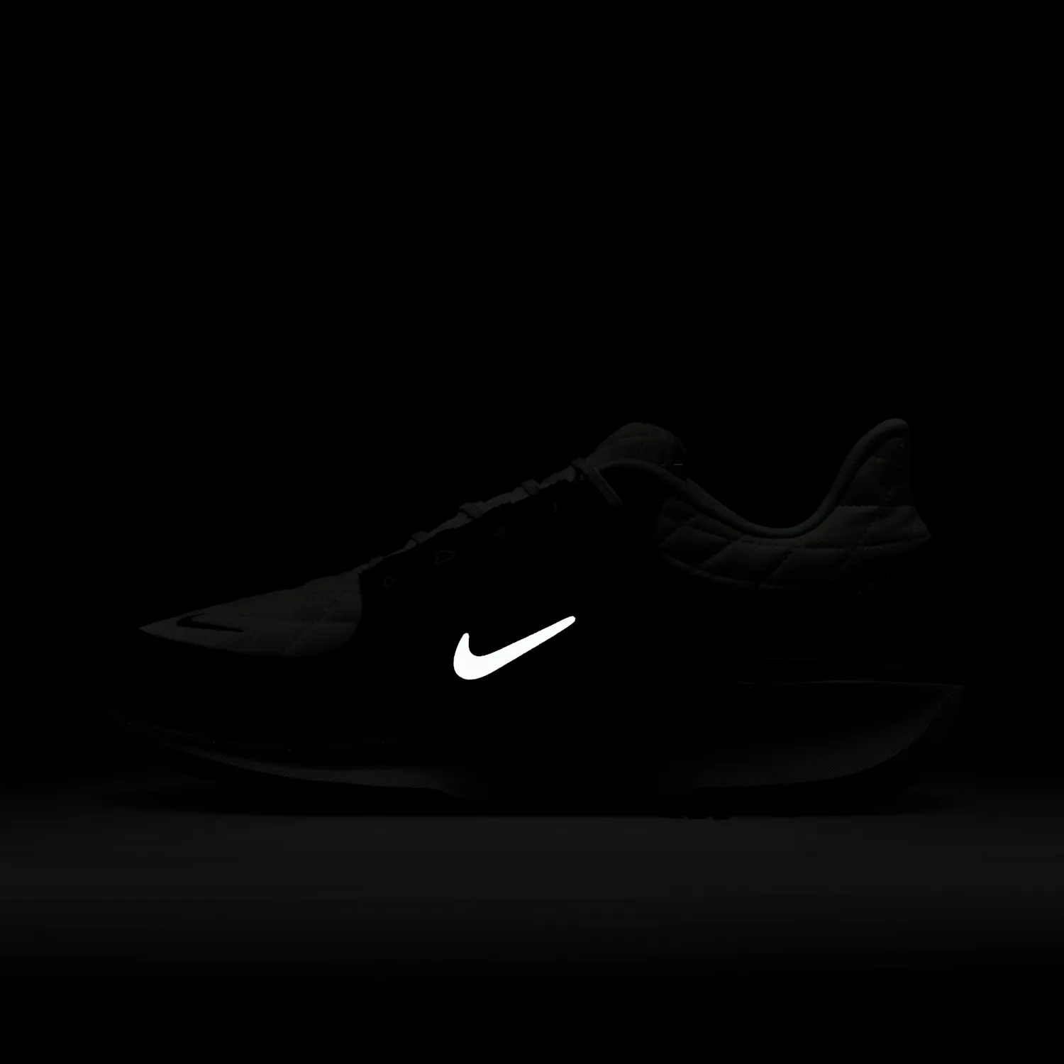 Nike Winflo 11 GORE-TEX image 3
