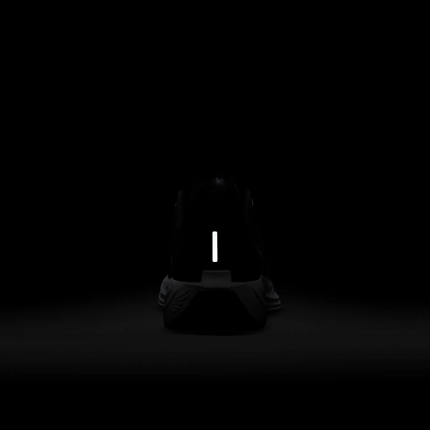 Nike Pegasus Plus image 2