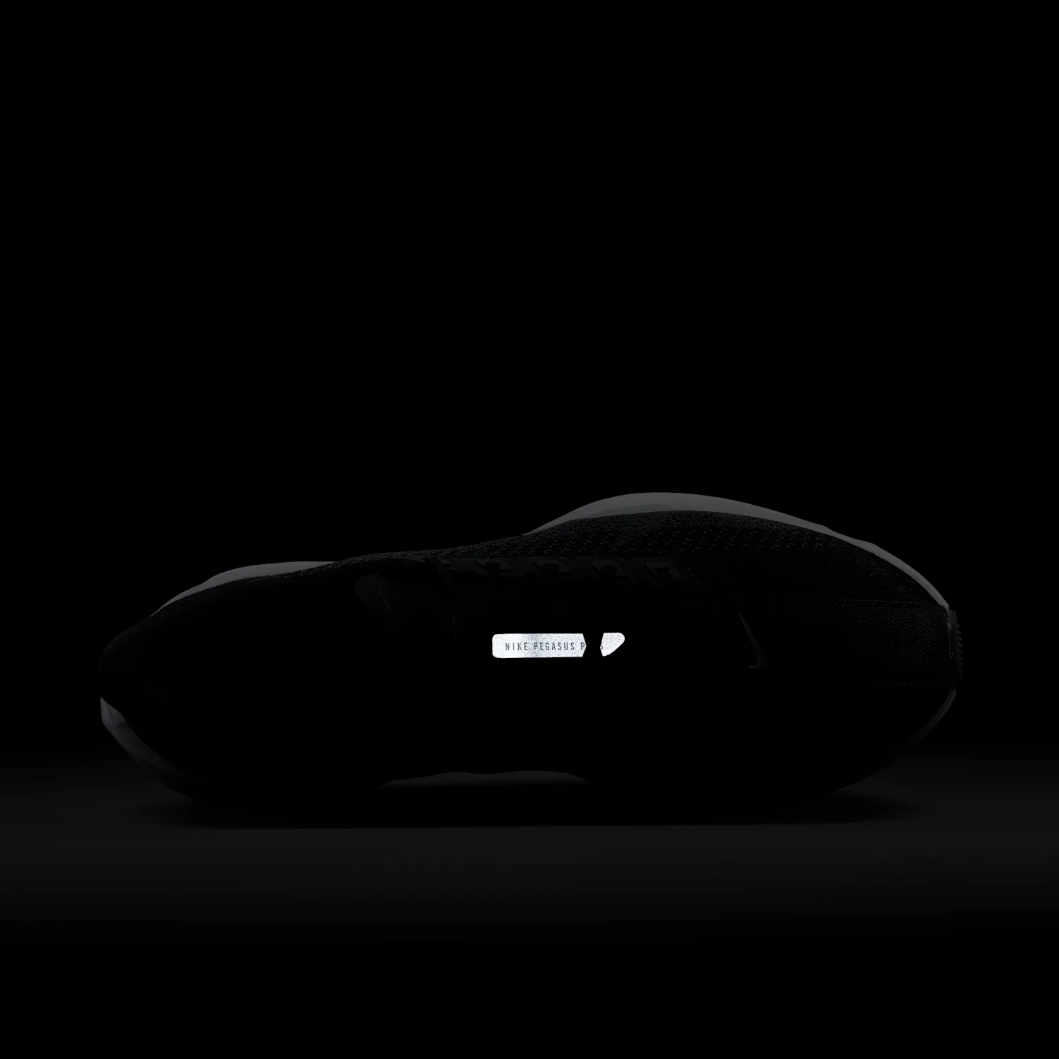 Nike Pegasus Plus image 11