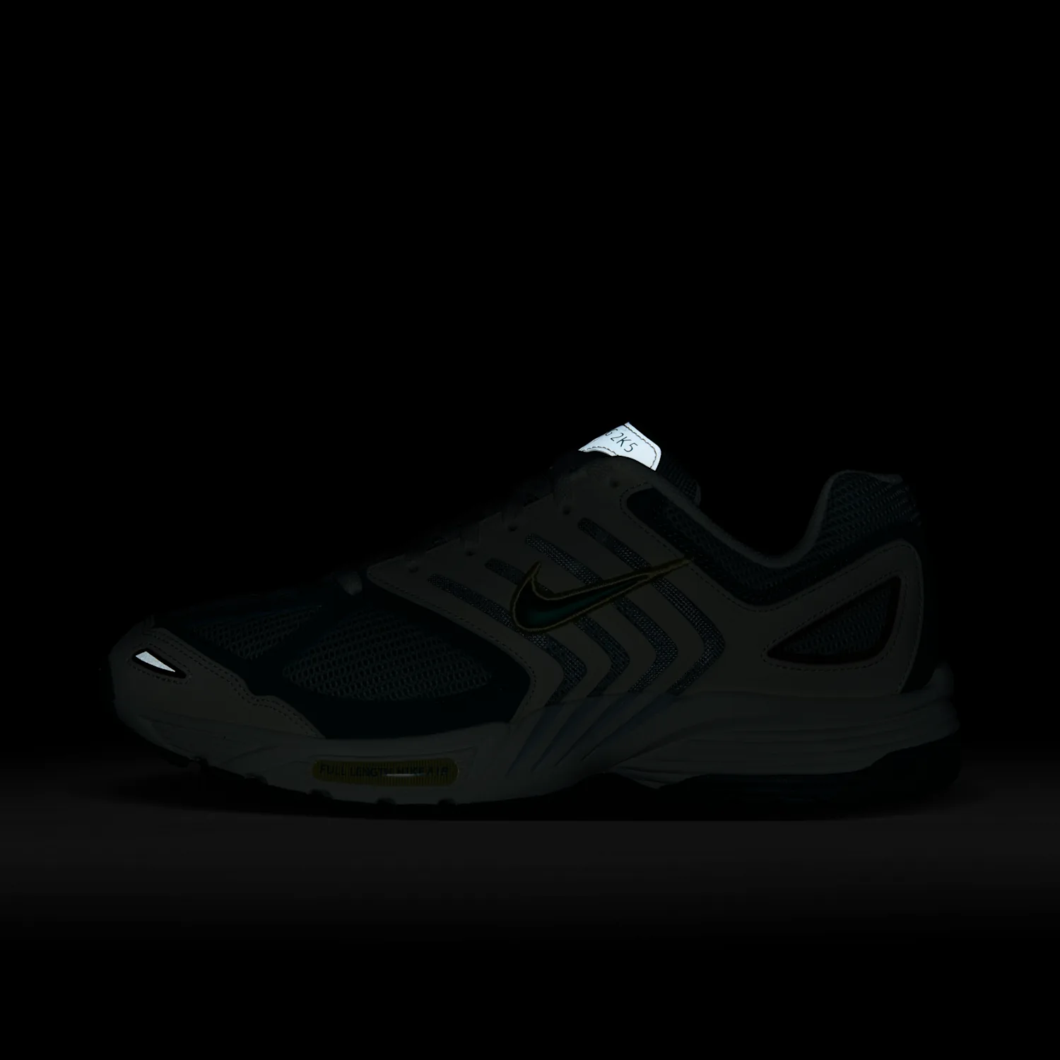 Nike Air Pegasus 2005 image 3